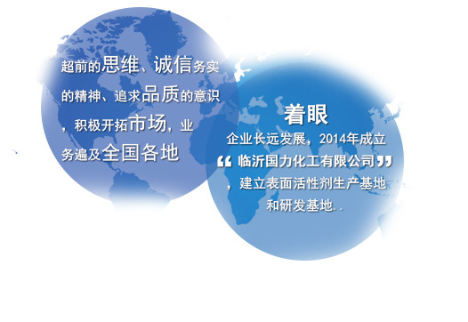 海安縣國(guó)力化工有限公司